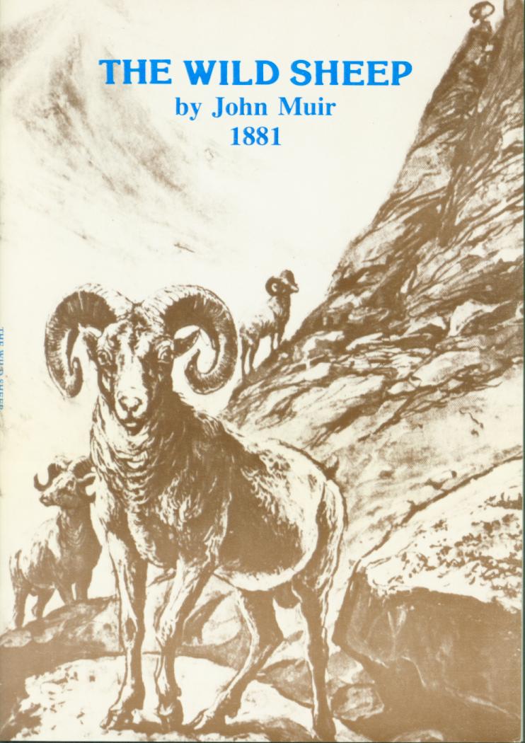 The Wild Sheep--1881. vist0017 front cover